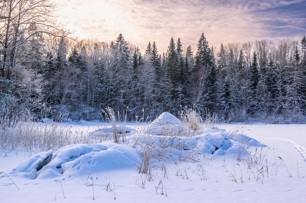 Карельский перешеек.