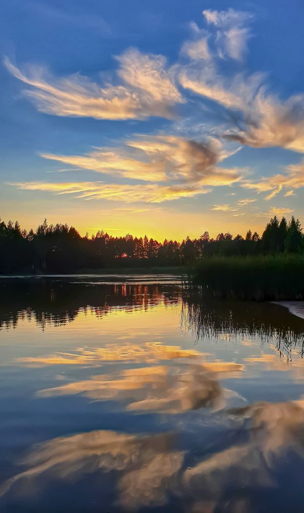 Фотография автора Elvijs Kalnins