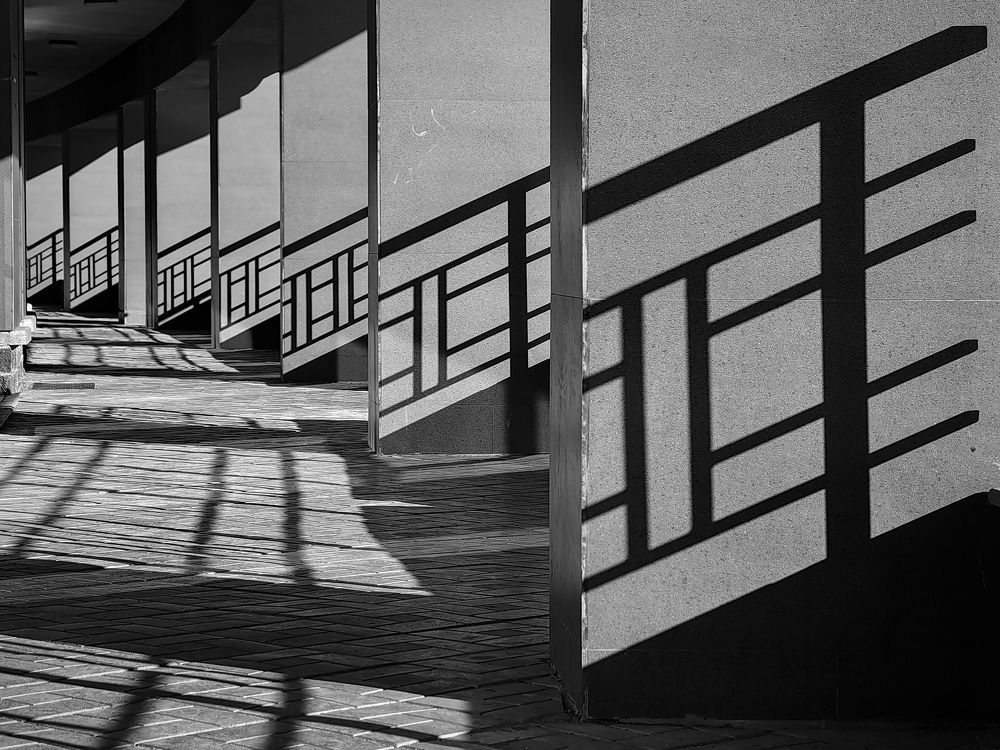 Photograph by Александр Максимов