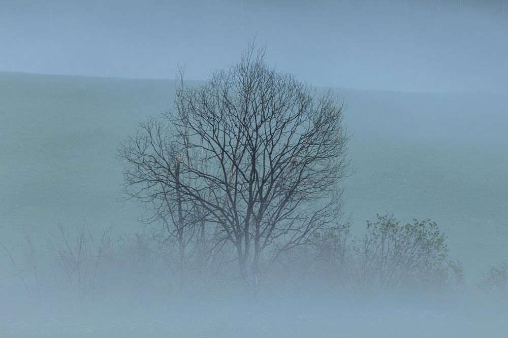 Photograph by Сергей