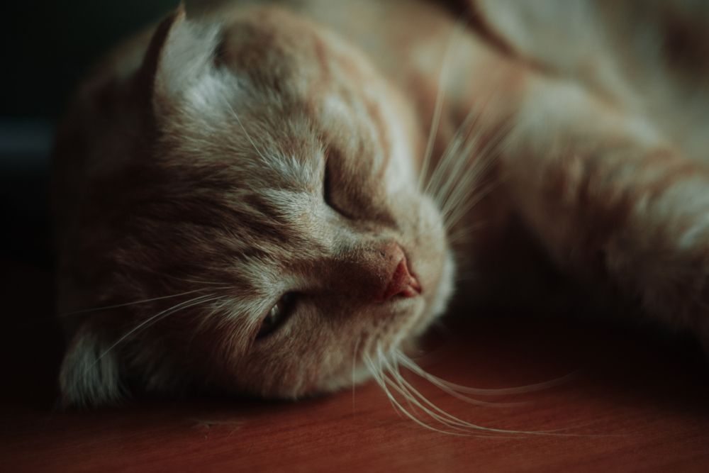 Photograph by Едынак Евгений