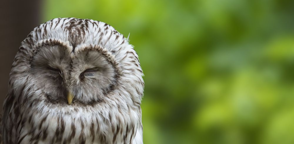 Photograph by Михаил Зубарев