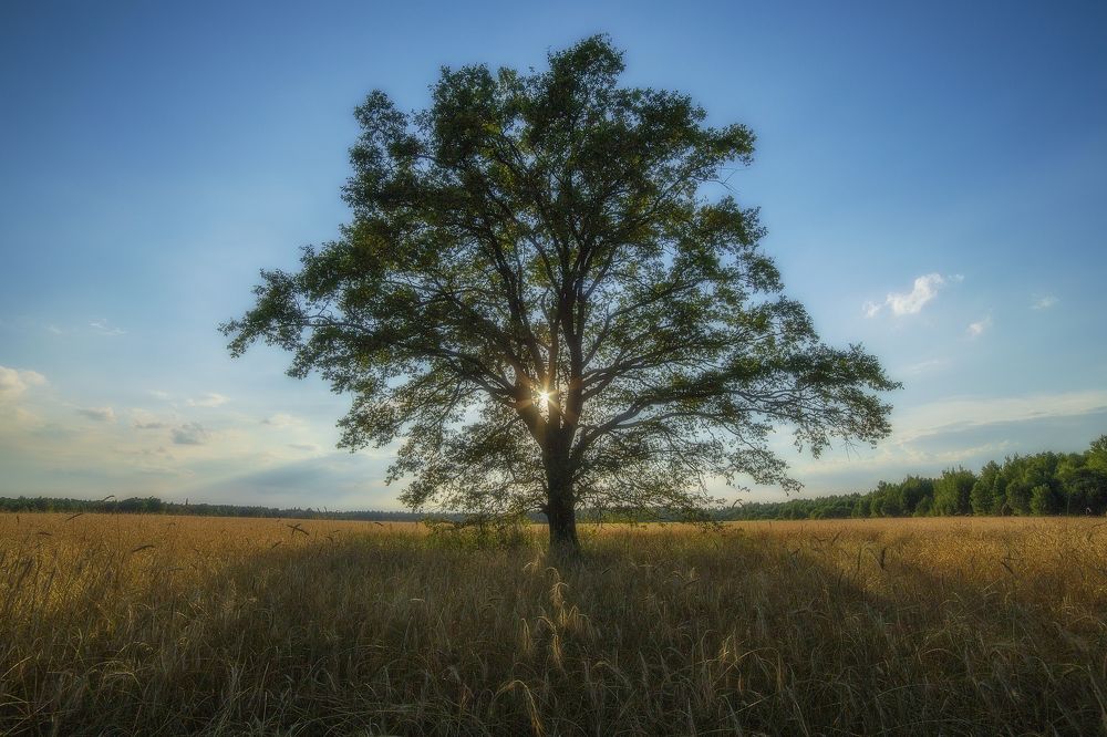 Photograph by Leanid Kulpo