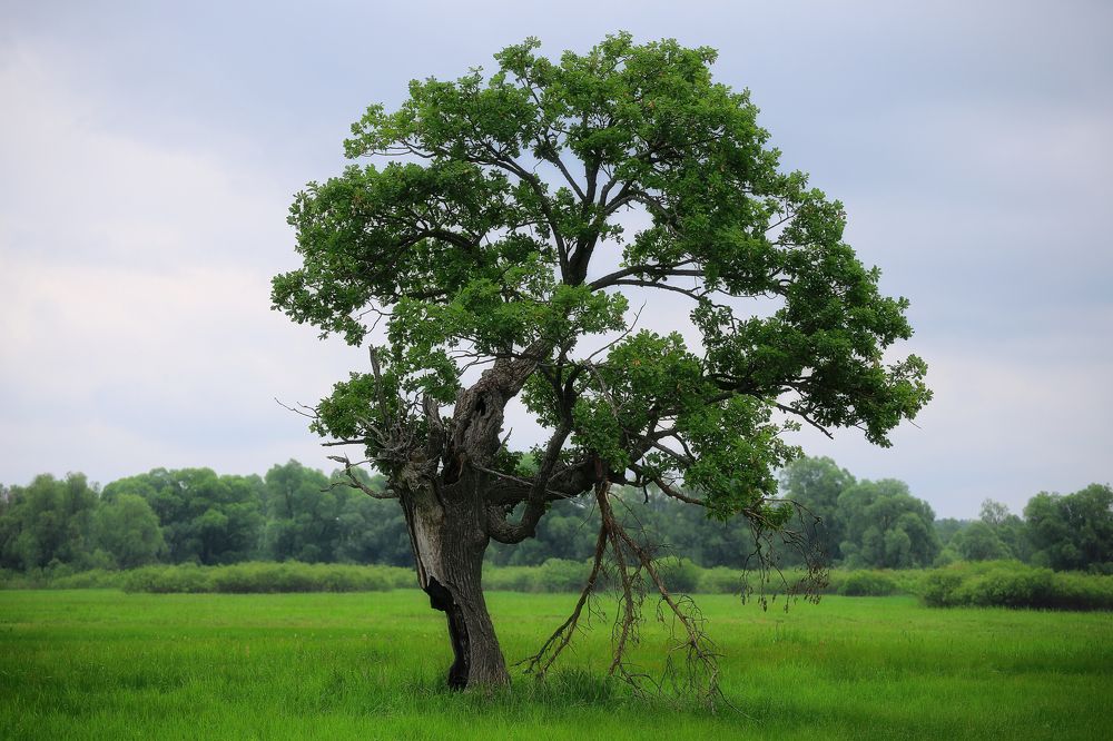 Photograph by Leanid Kulpo