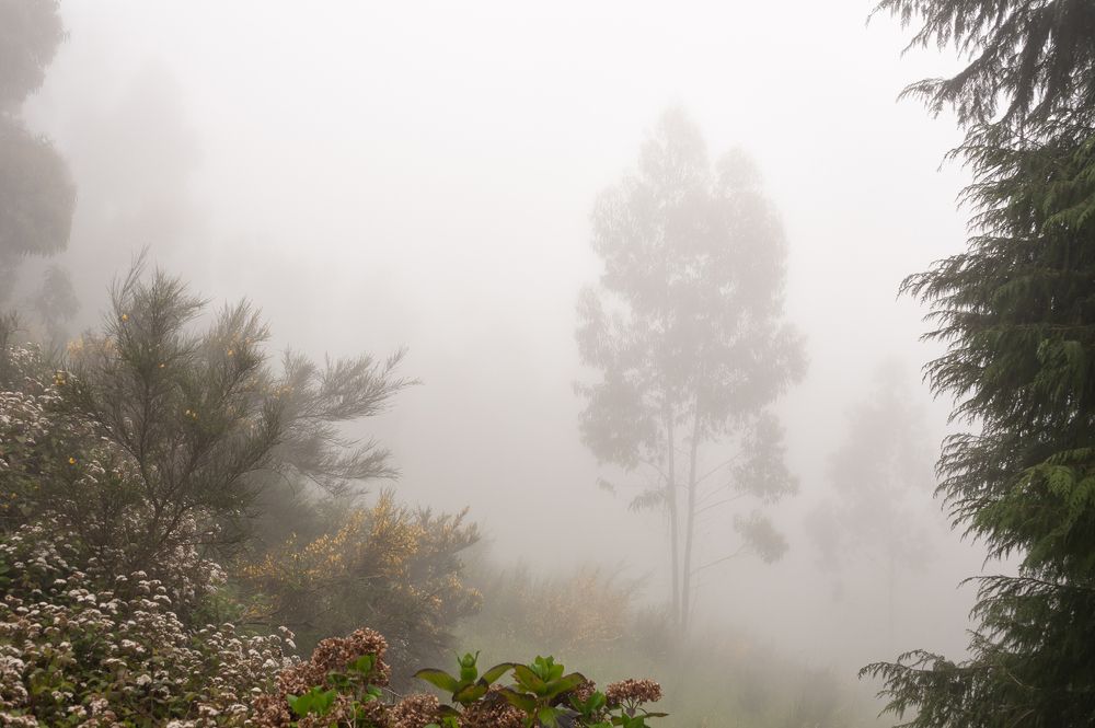 Photograph by Анастасия Богатова