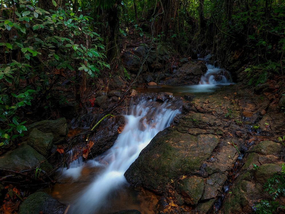 Photograph by M.Maleesha Sathsara Perera