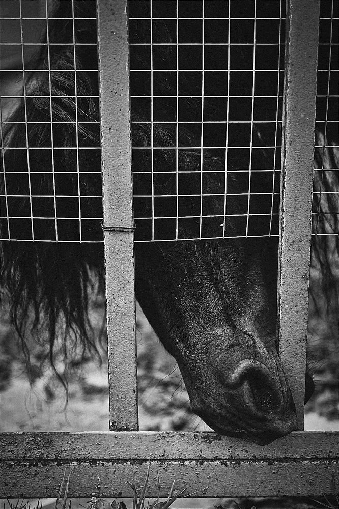 Photograph by Olya Ntsukpo