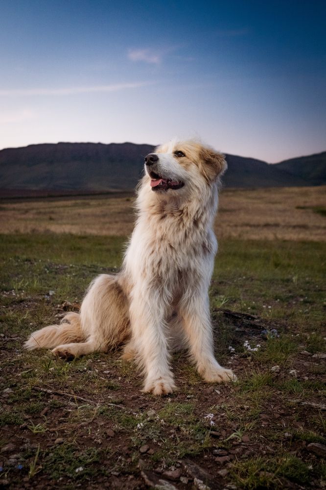 Photograph by Kostantin Belonogov