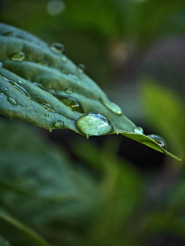 Фотография автора Вера Красюкова