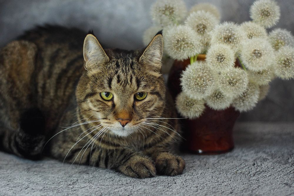 Photograph by Наталья Екимова