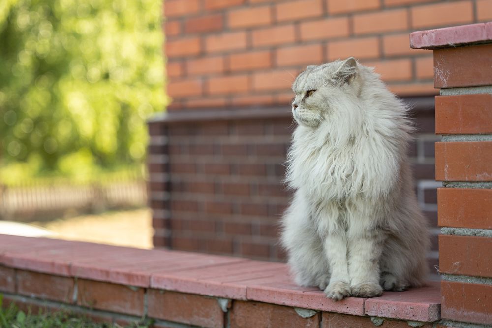 Photograph by Ilya Merkulov