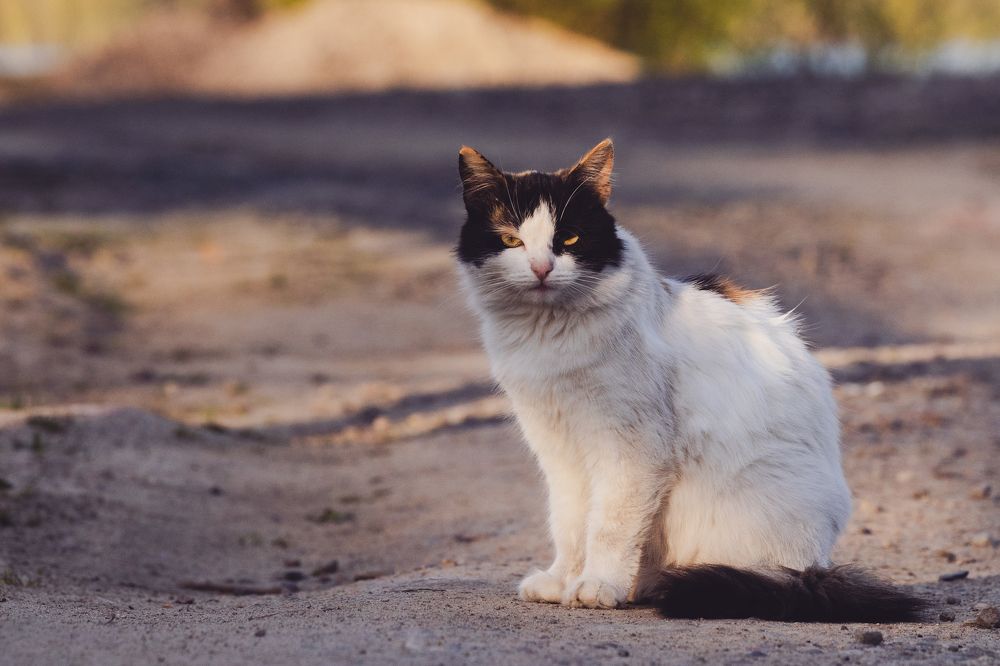 Photograph by Ilya Merkulov