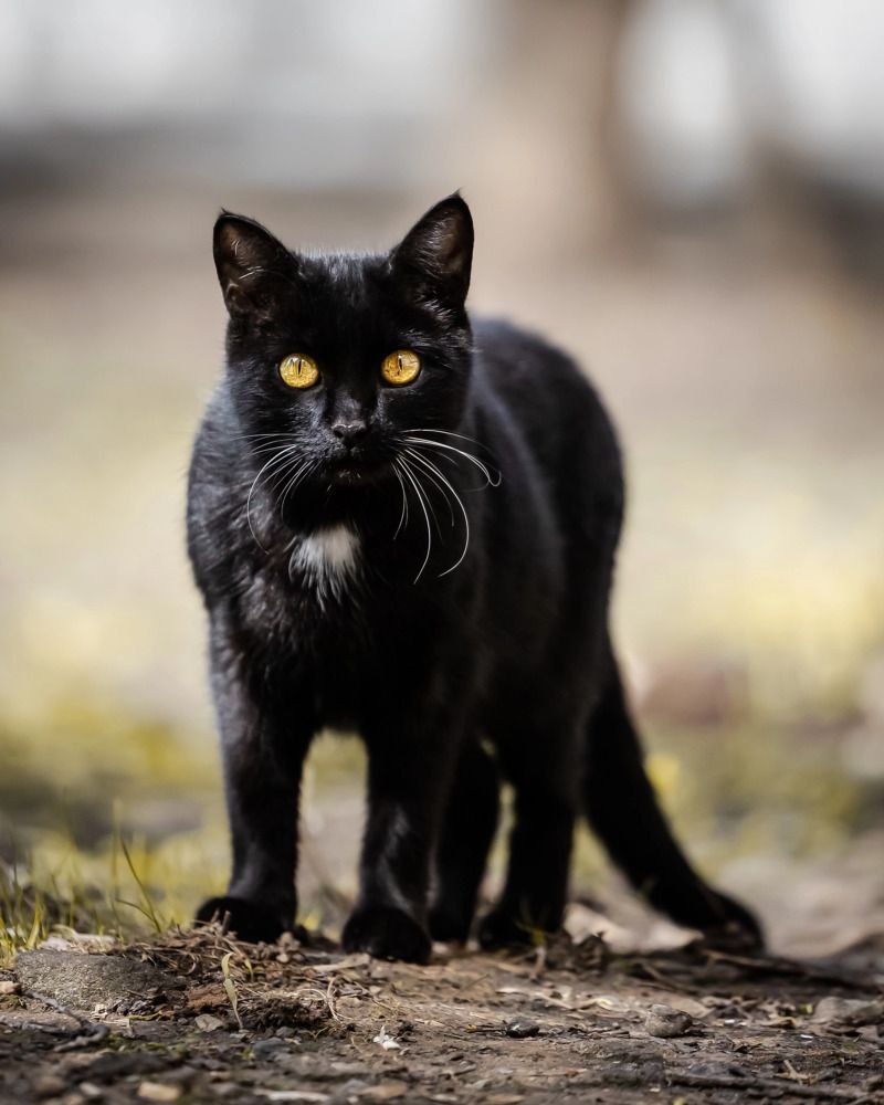 Photograph by Владимир Охрименко