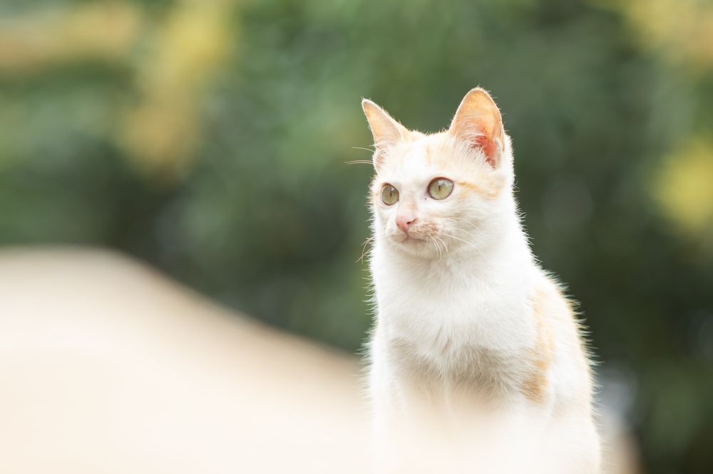 Фотография автора Bùi Nguyễn