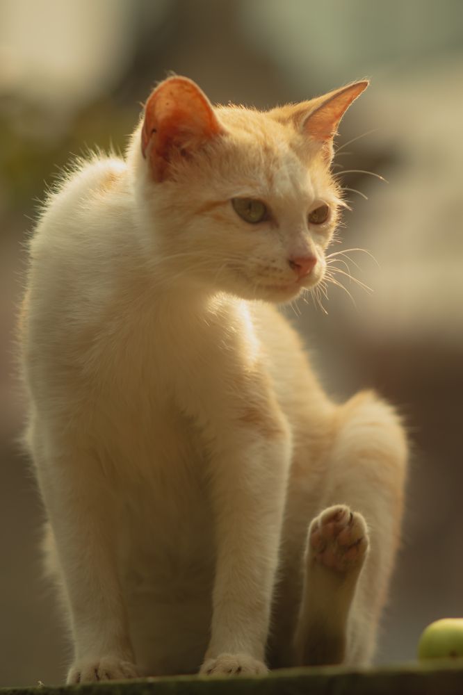 Фотография автора Bùi Nguyễn