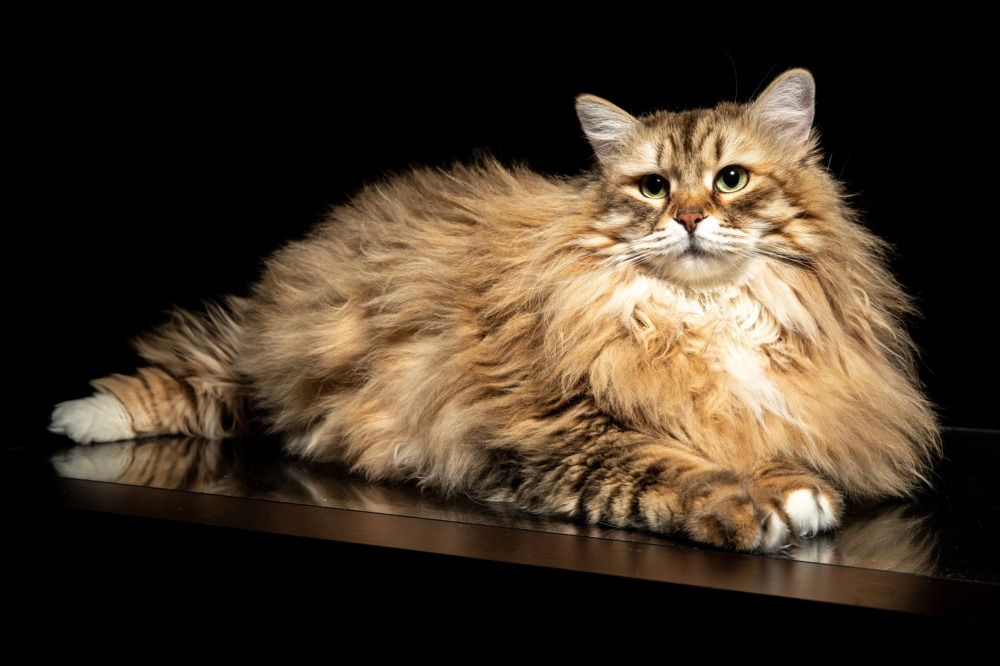 Photograph by Владимир Охрименко