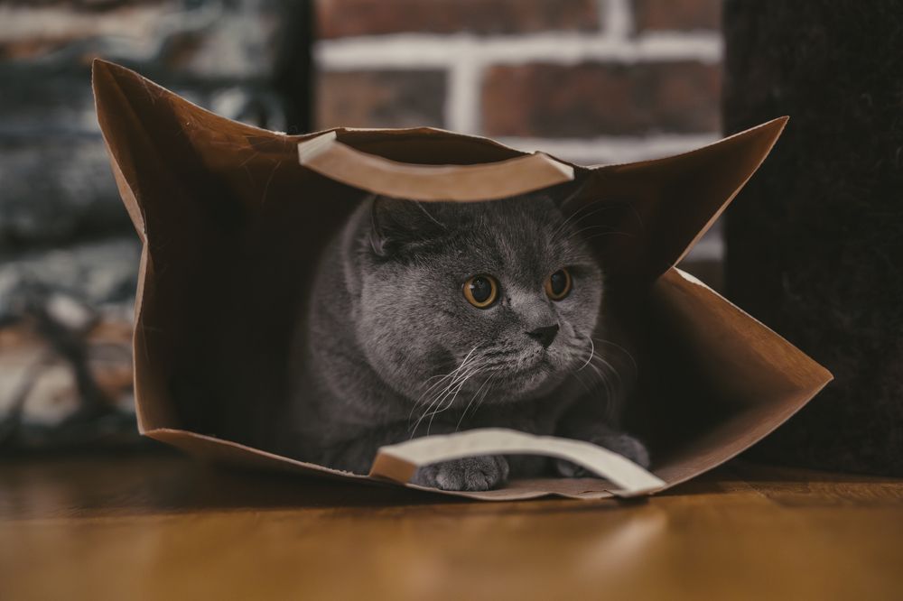 Photograph by Nikolay Surovtsev