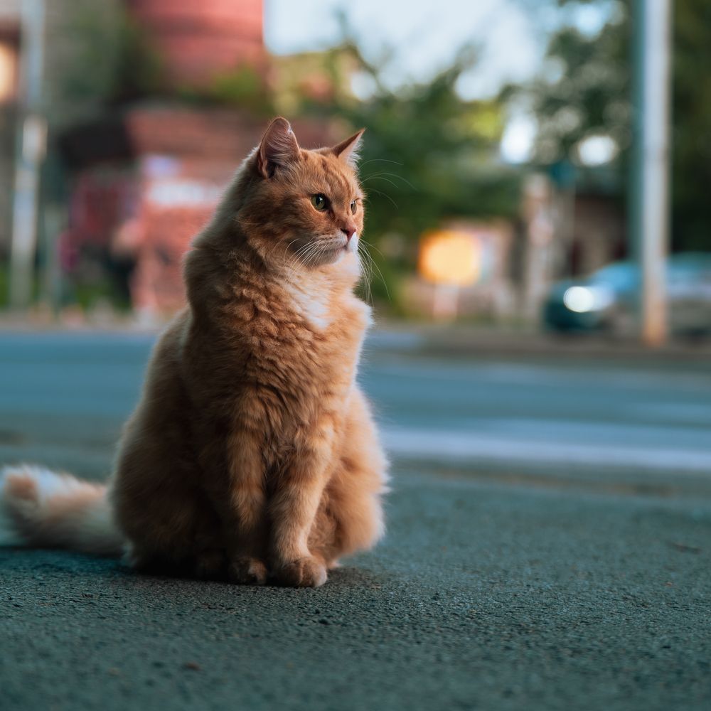 Photograph by Nikolay Surovtsev