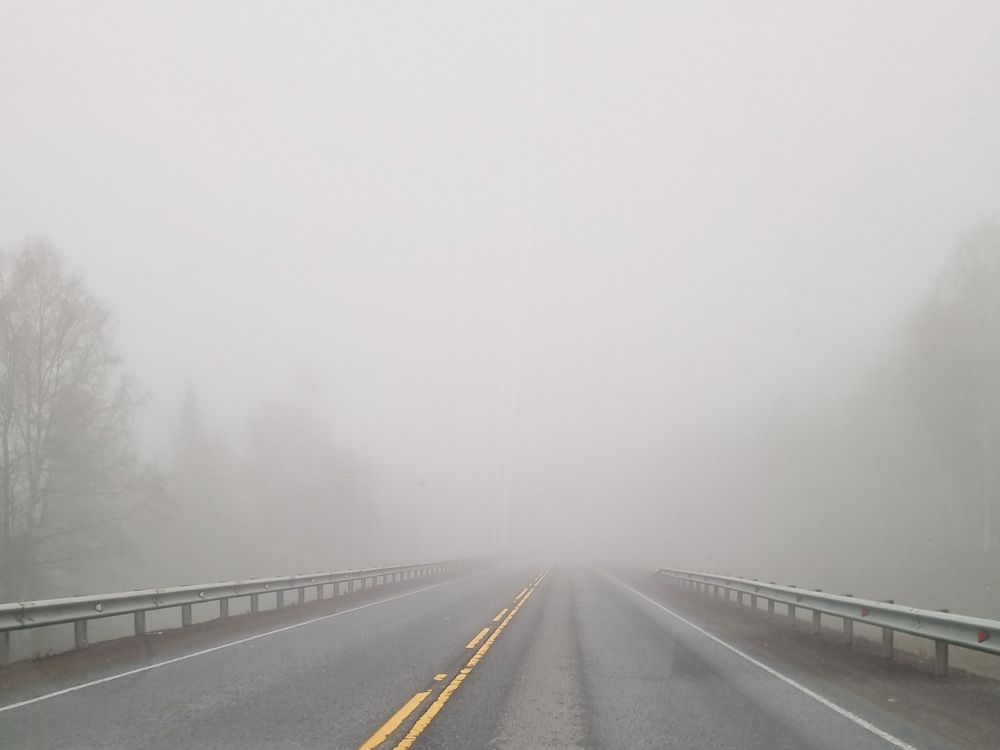 Photograph by Мотина Екатерина