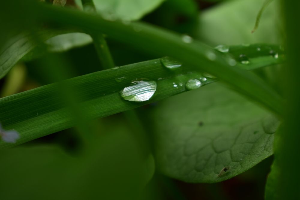 Photograph by Наталья Еременко