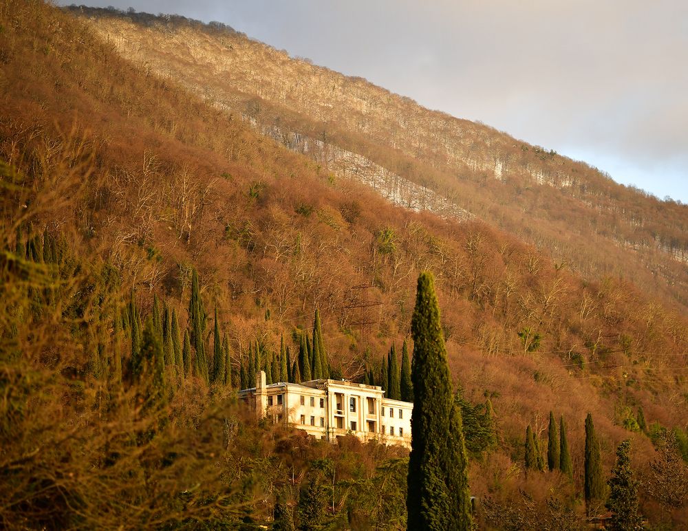 Photograph by Сергей Галёса