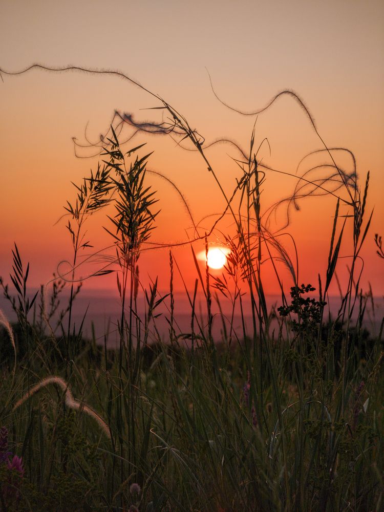 Photograph by Евгений Якушев