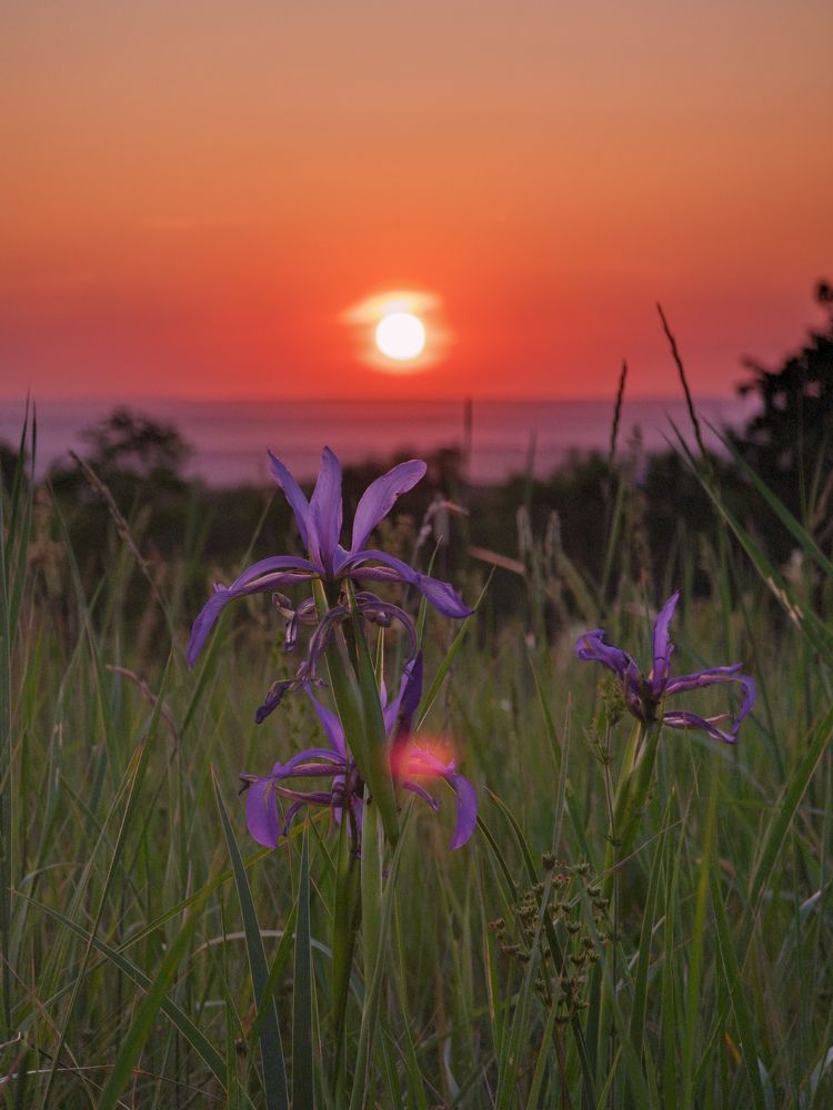 Photograph by Евгений Якушев