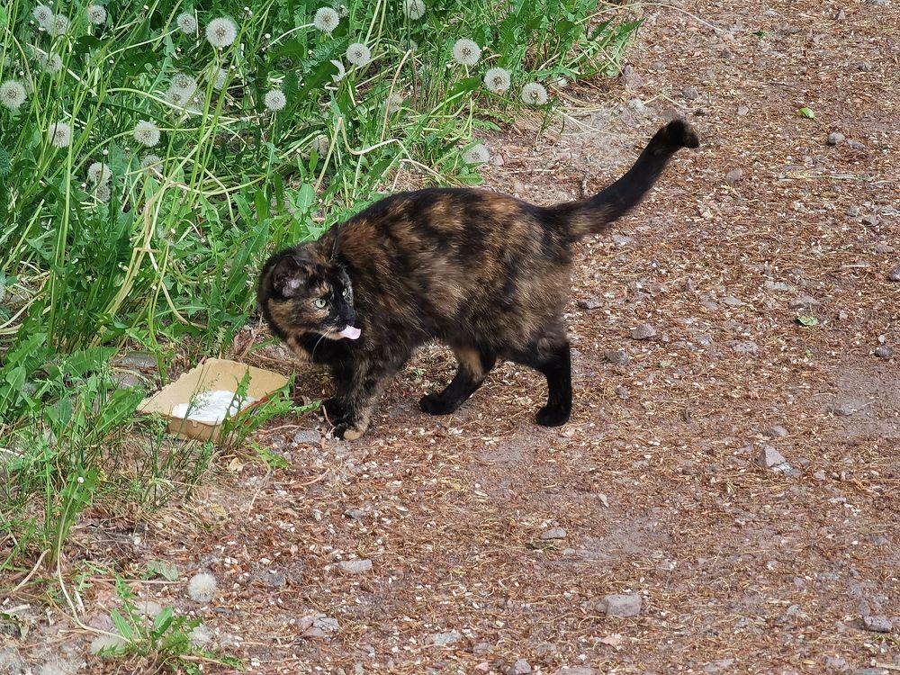 Photograph by Виталий Кореньков