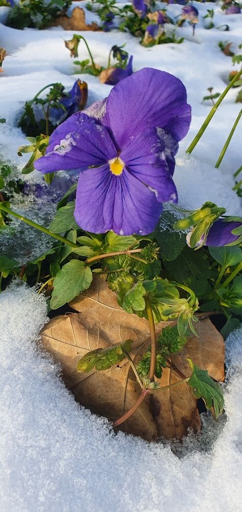 Photograph by Анастасия Трофимовская