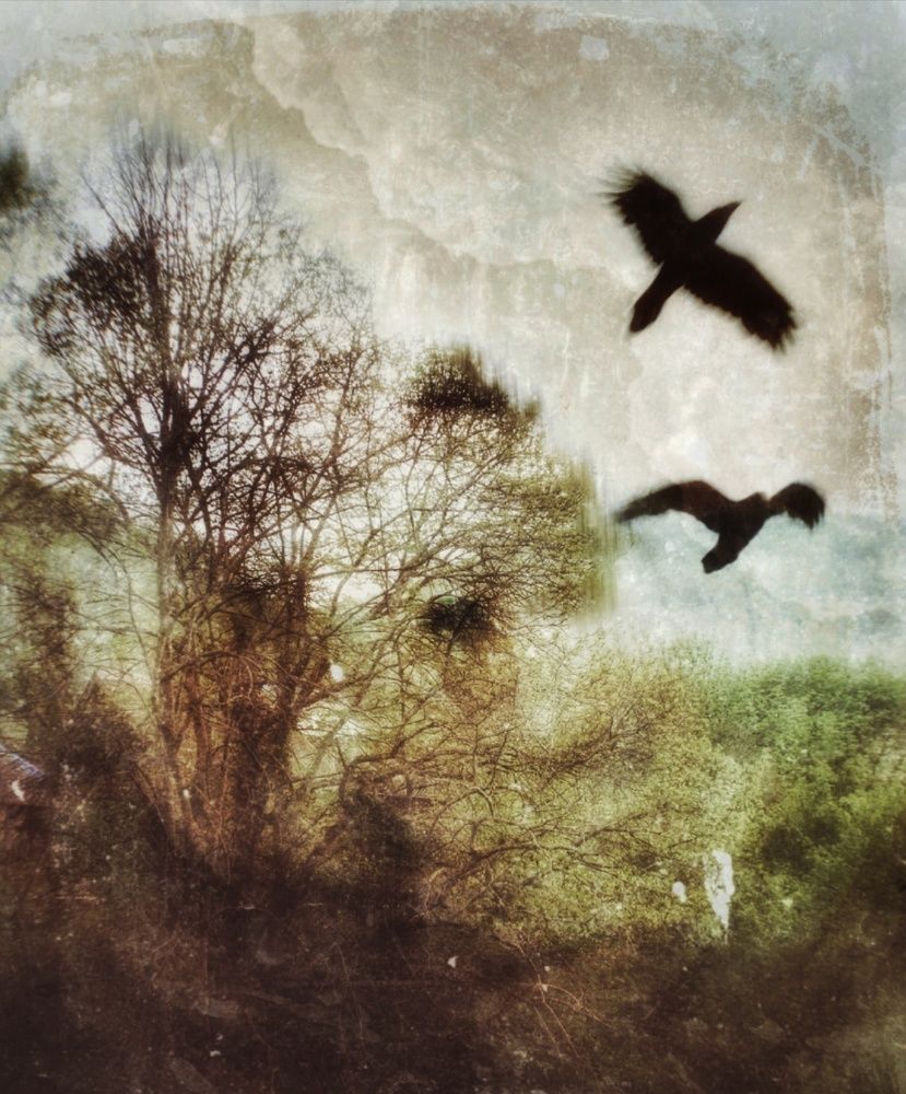 Photograph by Анна Берневик