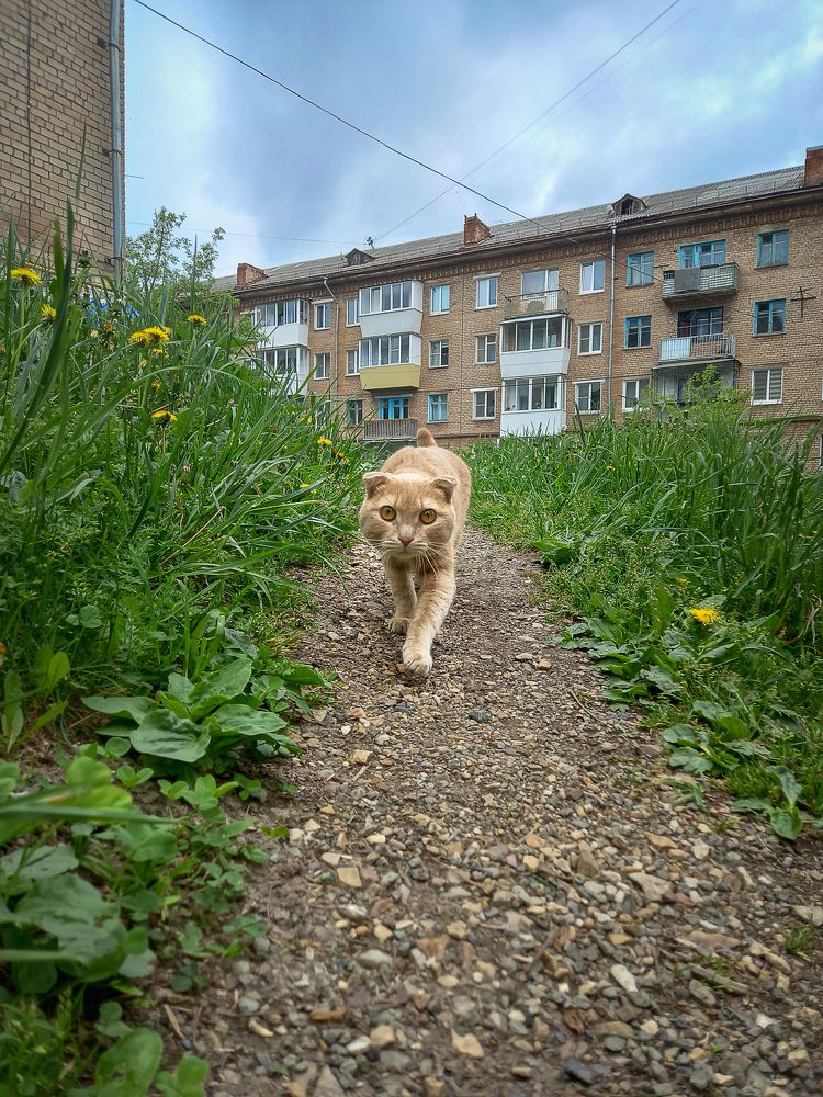 Photograph by Надежда Ключкина