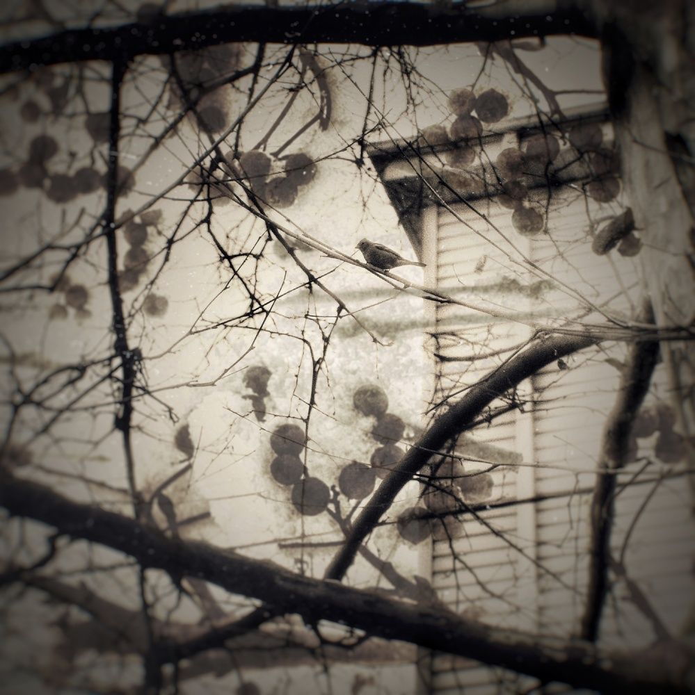 Photograph by Анна Берневик