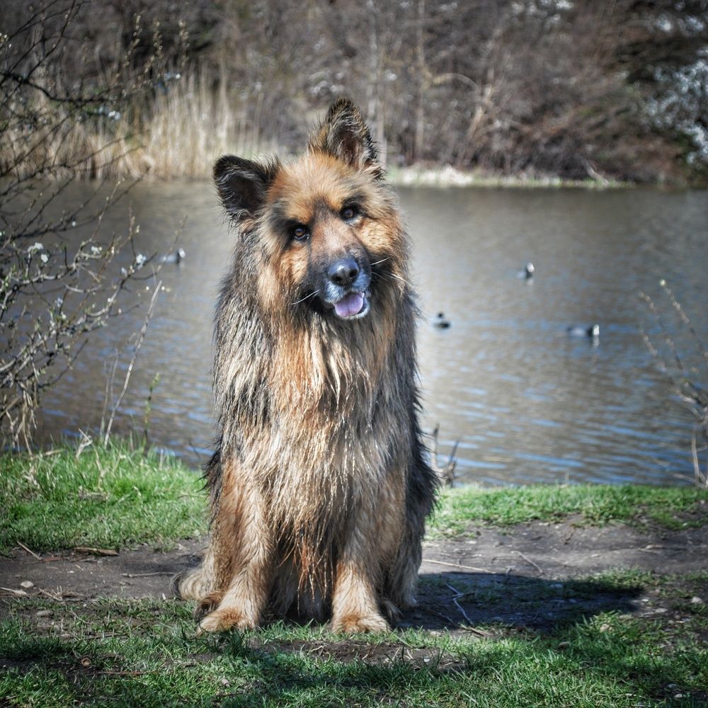 Photograph by Анна Берневик