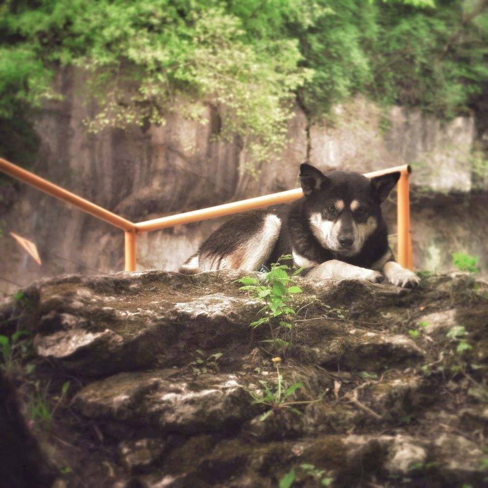 Photograph by Анна Берневик