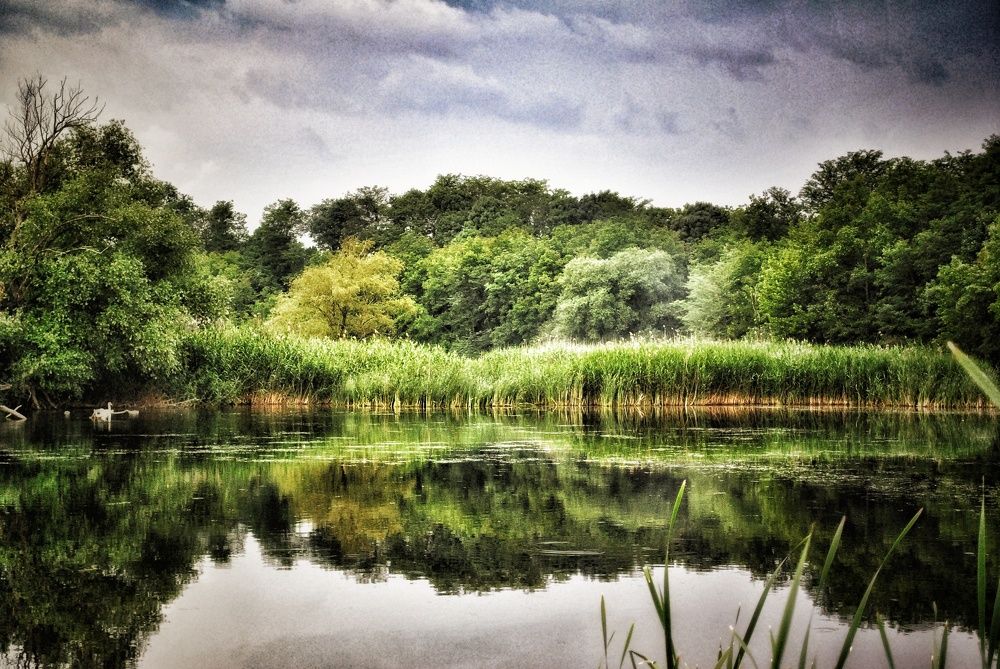 Photograph by Анна Берневик