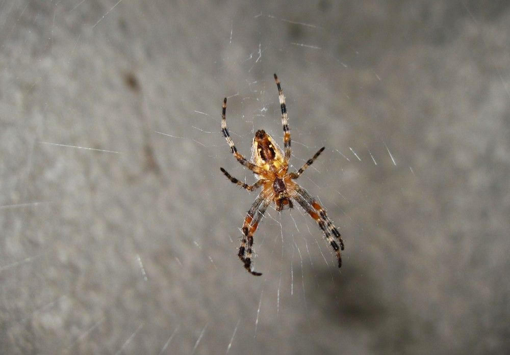 Photograph by Viktoriia Rusanova