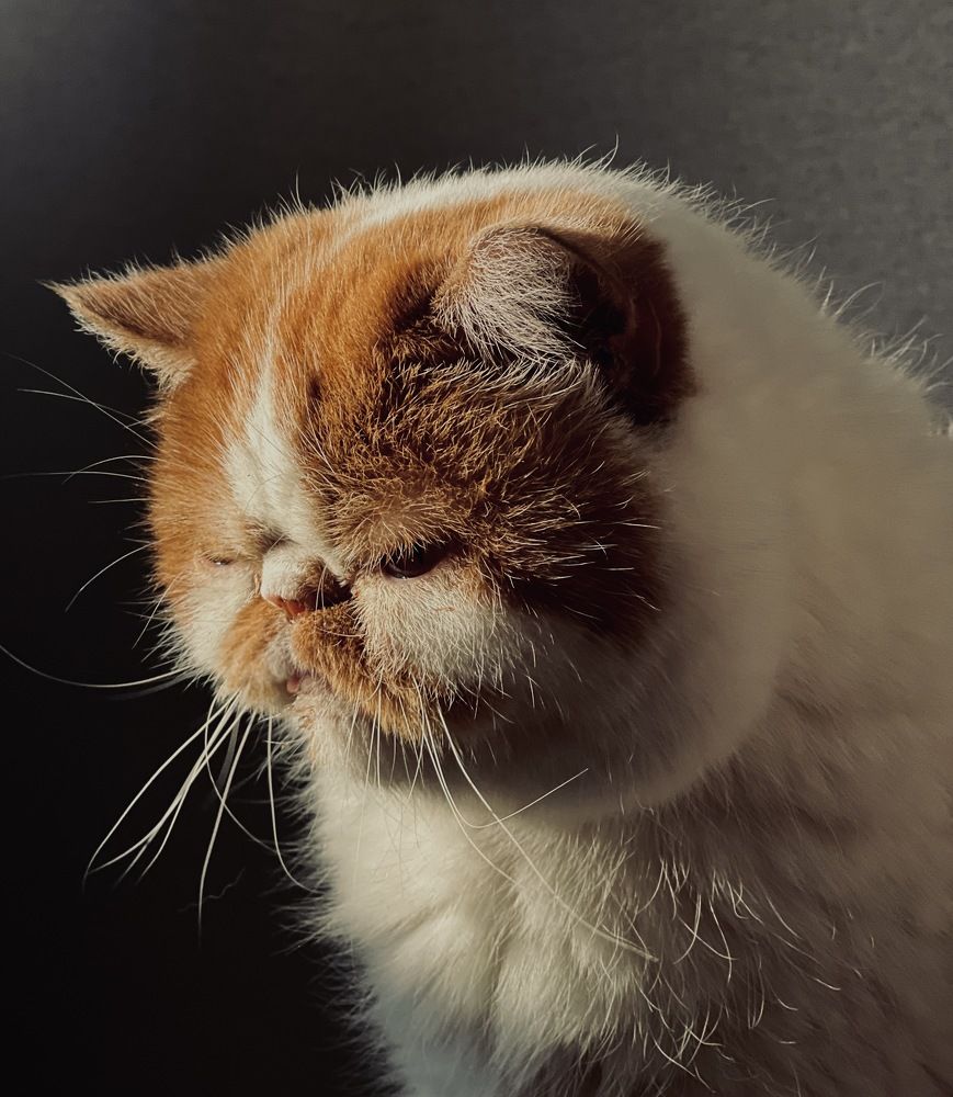 Photograph by Виктория Кузнецова