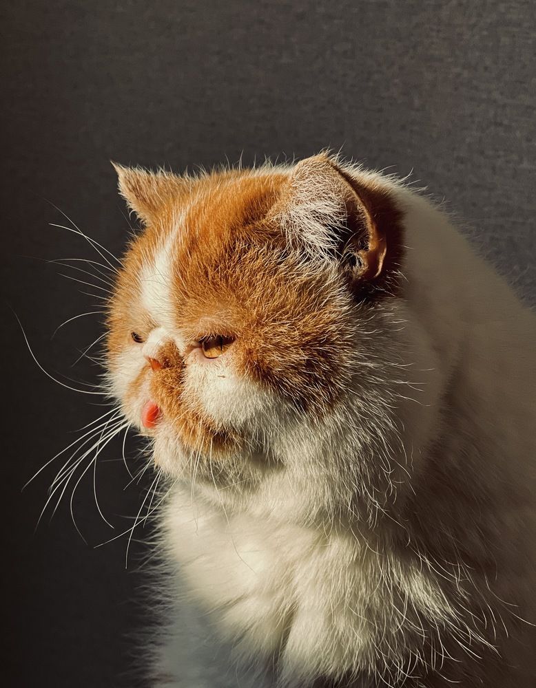 Photograph by Виктория Кузнецова