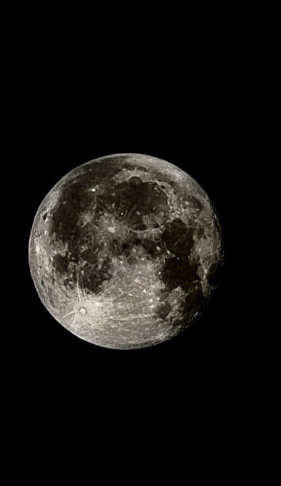 Photograph by حنان همام أحمد عبد الرحمن