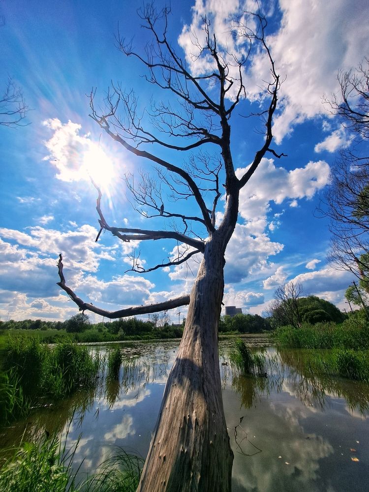 Photograph by Денис Прохоров