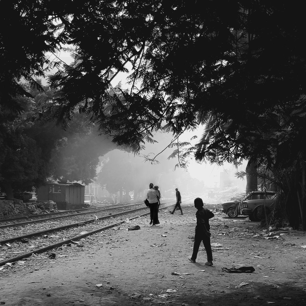 Photograph by Tarek  El Magrabe