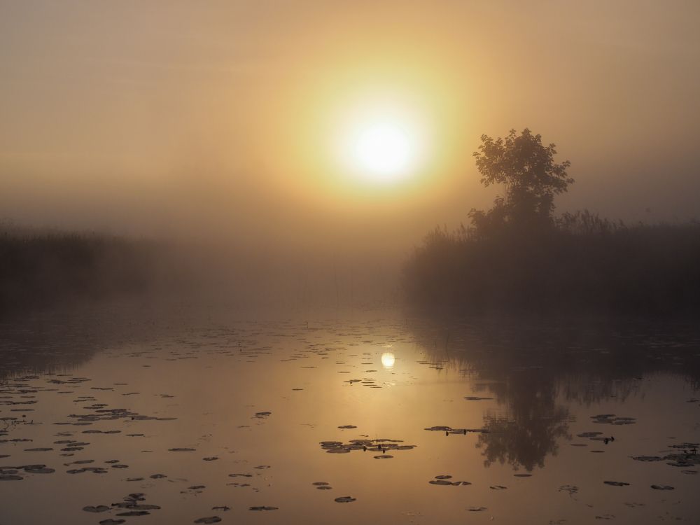 Photograph by Сергей Гаврилов