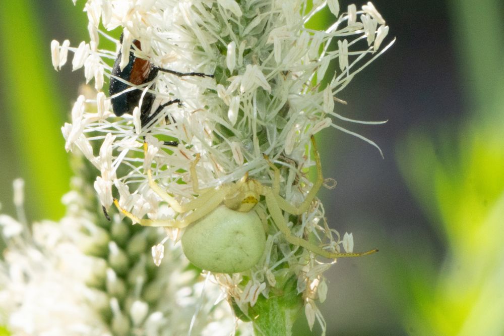 Фотография автора Ruslan Badykov