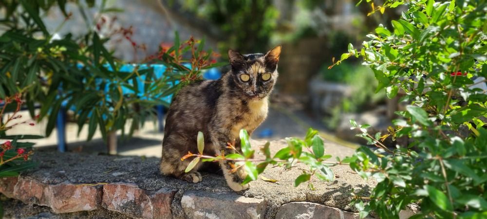 Photograph by Anna Zelinskaya