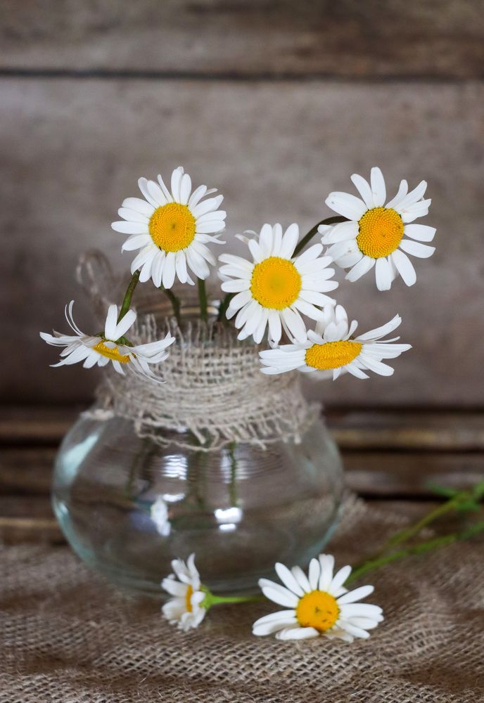 Photograph by Елена Рудкевич