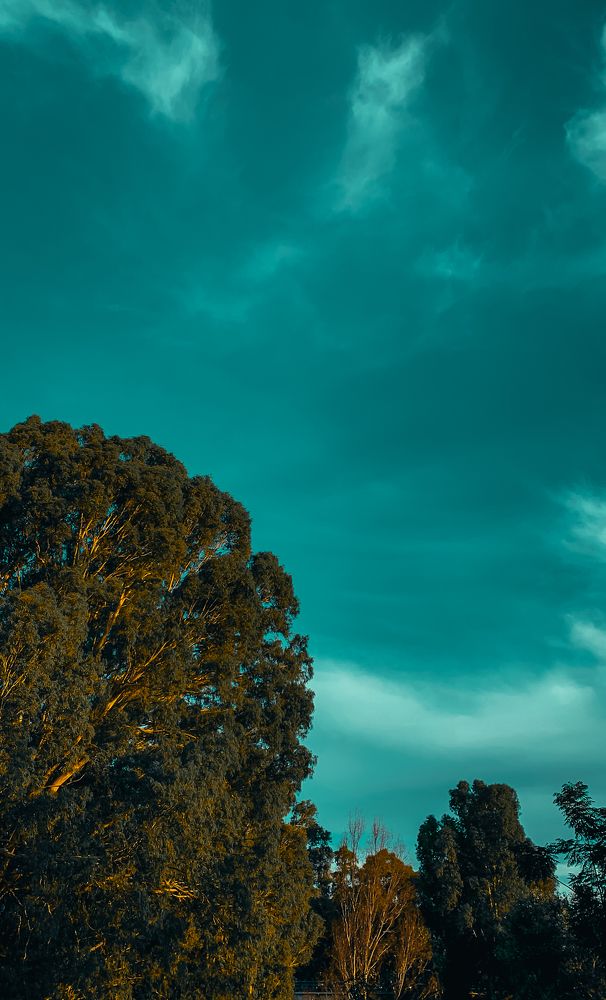 Photograph by Mohamed Nadhir fatahine