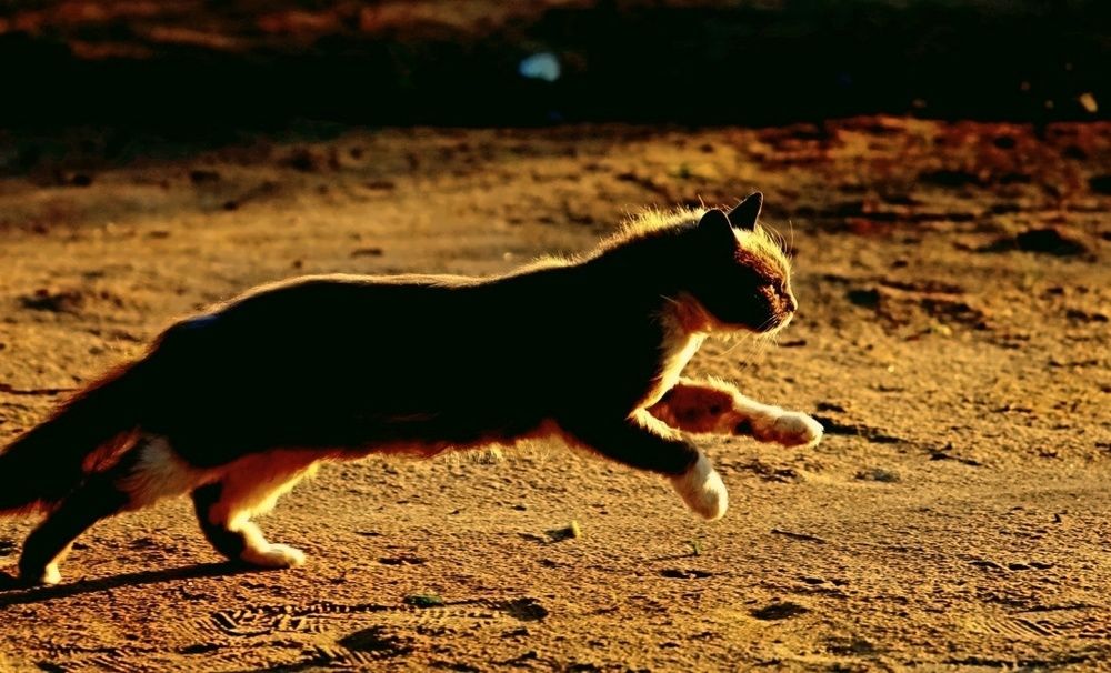 Photograph by Татьяна Слесарева