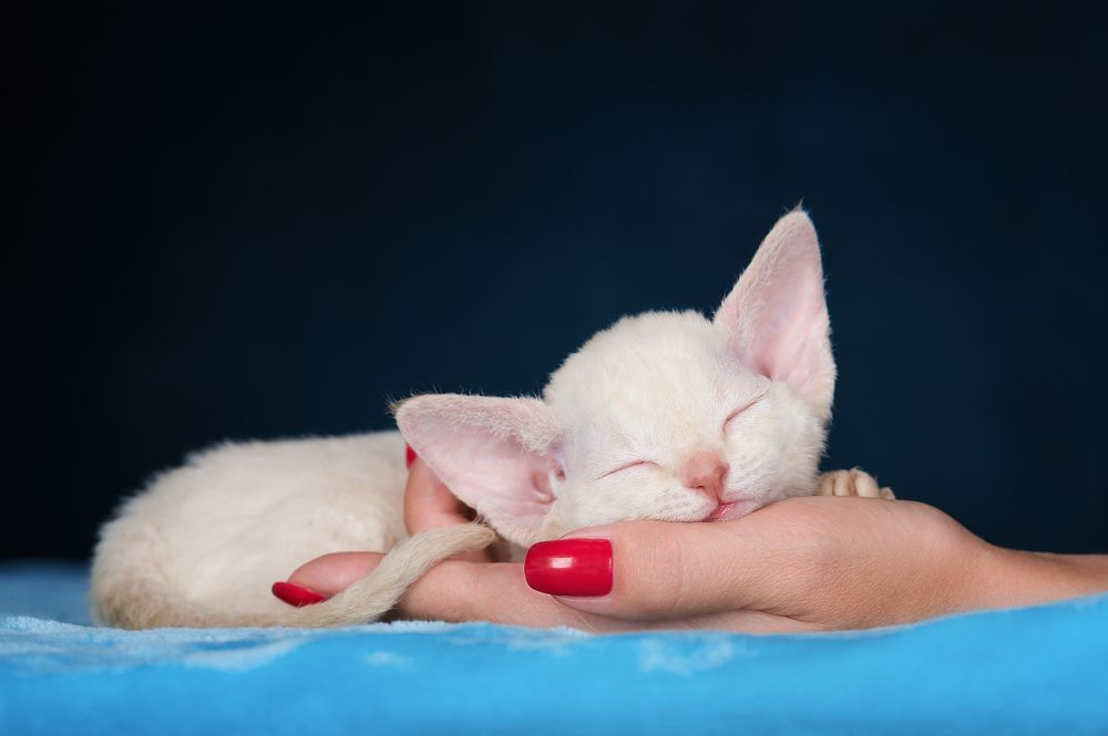 Photograph by Олег Гаричкин