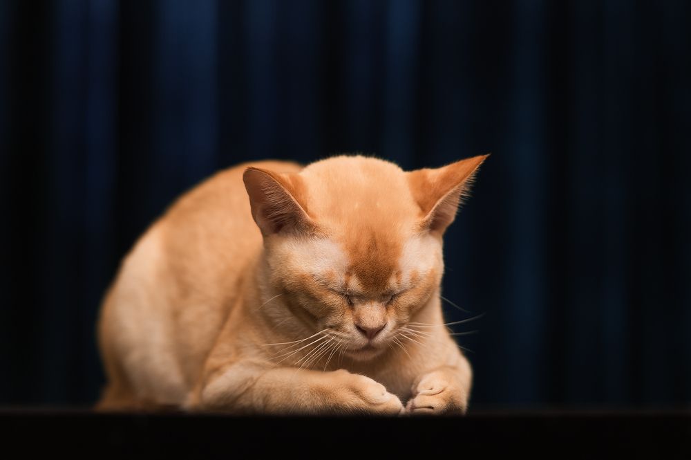 Photograph by Олег Гаричкин