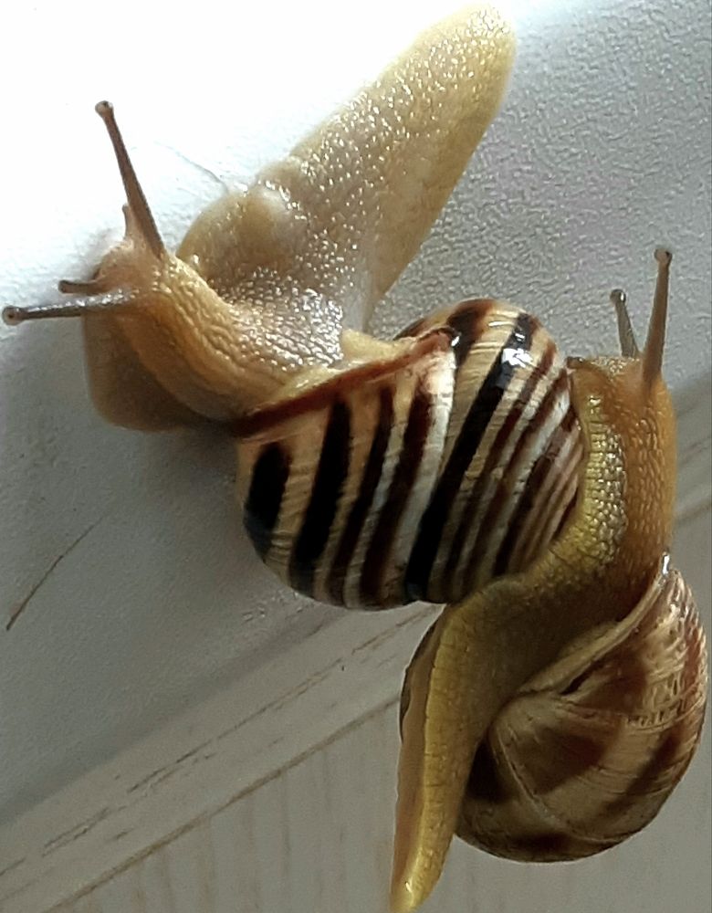 Photograph by Olga Александрова